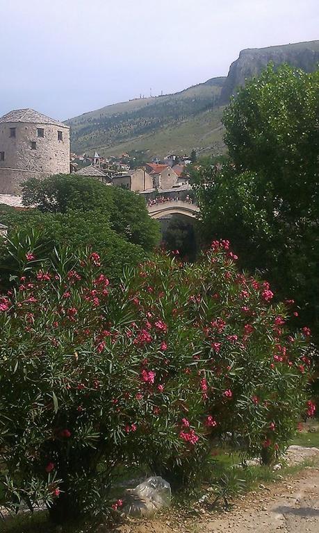 Little Rock Apartments Mostar Værelse billede